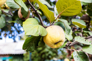 Similar image 21975367