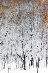 Similar image 21975369