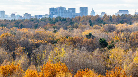 Similar image 21975374