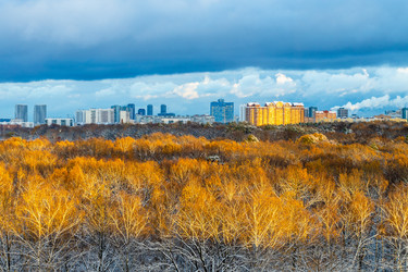 Similar image 21975375