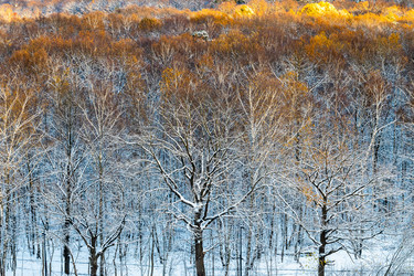 Similar image 21975379