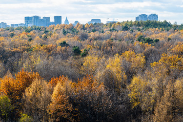 Similar image 21975383