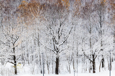 Similar image 21975386