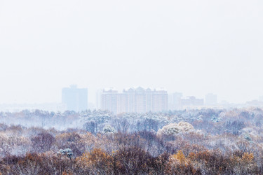 Similar image 21975387