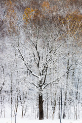 Similar image 21975394