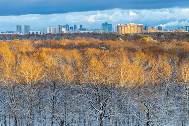 Similar image 21975395