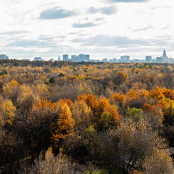 Similar image 21975396