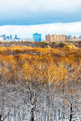 Similar image 21975398