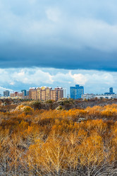 Similar image 21975400