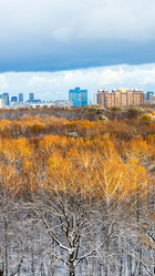 Similar image 21975401