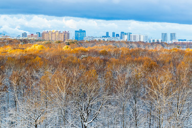 Similar image 21975402