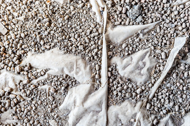 Similar image 21975410