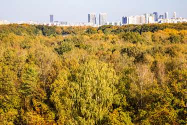 Similar image 21975411