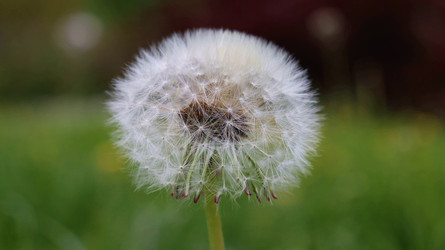 Similar image 21975170