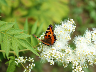 Similar image 21975191