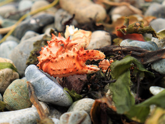 Similar image 21975202