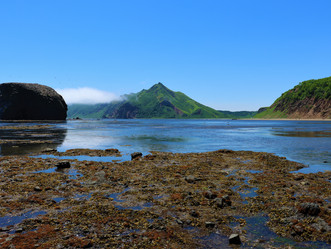 Similar image 21975204