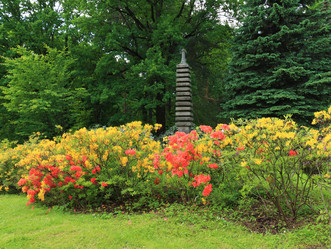 Similar image 21975206