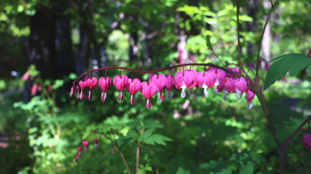 Similar image 21975209