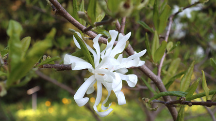 Similar image 21975212