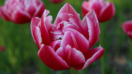 Similar image 21975213