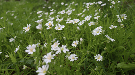 Similar image 21975214