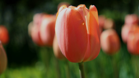 Similar image 21975215