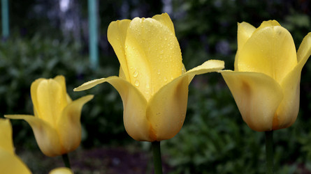 Similar image 21975216