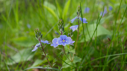 Similar image 21975217