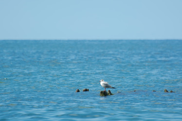 Similar image 21974962