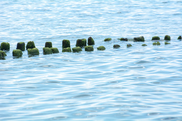 Similar image 21974963