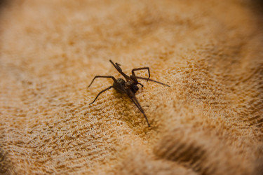 Similar image 21974964