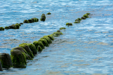 Similar image 21974965