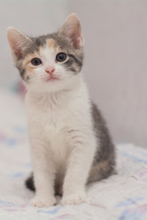 Similar image 21974970