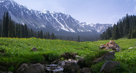 Similar image 21974971