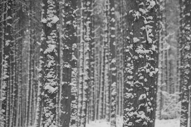 Similar image 21974978