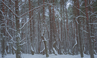 Similar image 21974979