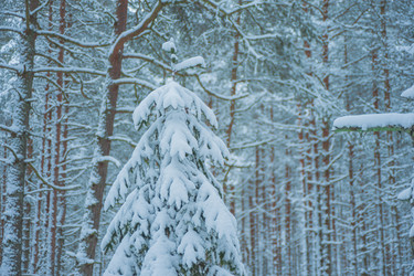 Similar image 21974980