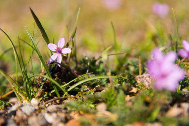 Similar image 21974984