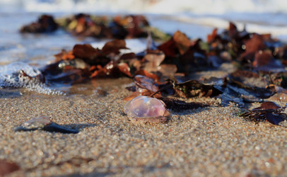 Similar image 21975225