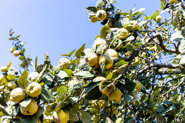 Similar image 21975418