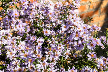 Similar image 21975420