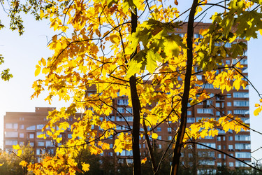 Similar image 21975529