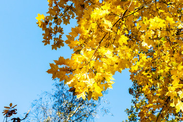 Similar image 21975531