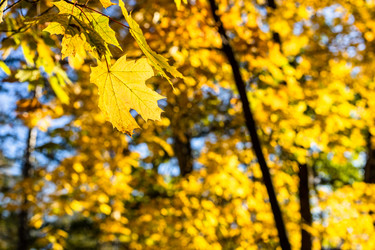 Similar image 21975533