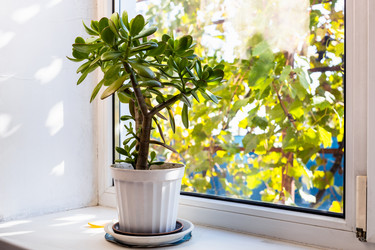 Similar image 21975534