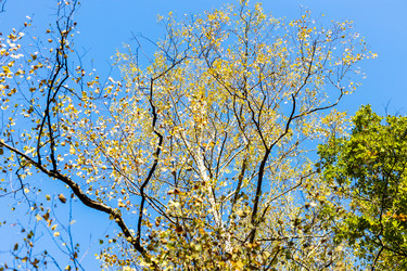 Similar image 21975539