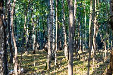 Similar image 21975541