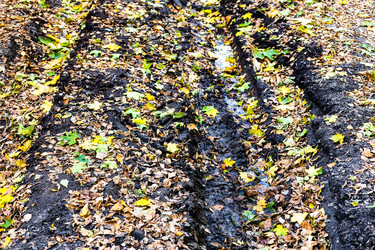 Similar image 21975543