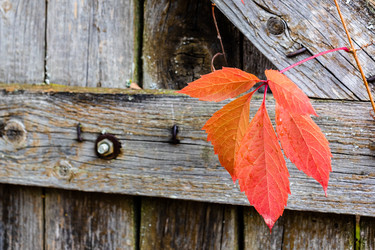 Similar image 21975549